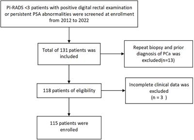 The Application of Biopsy Density in Transperineal Templated-Guided Biopsy Patients With PI-RADS<3